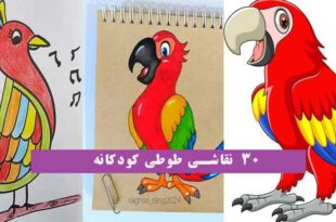 30 نقاشی طوطی کودکانه 2024؛ با رنگ آمیزی های بسیار شاد و آسان!