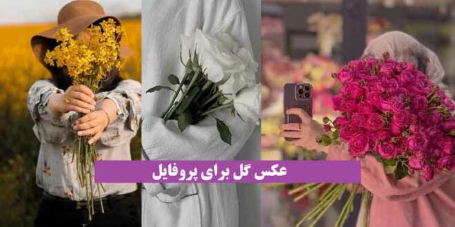 عکس گل برای پروفایل