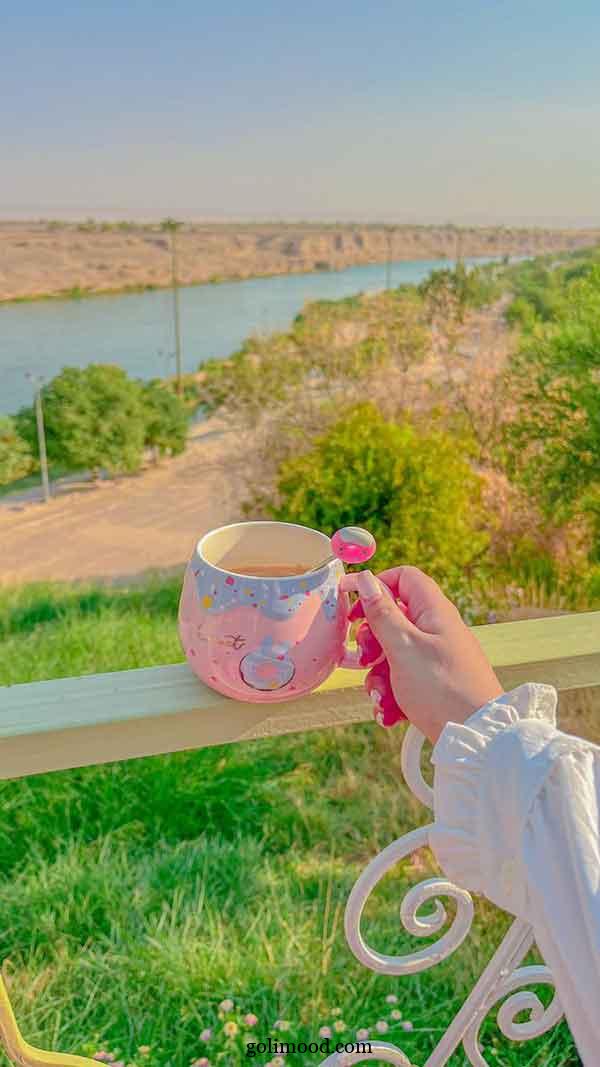عکس پروفایل شیک