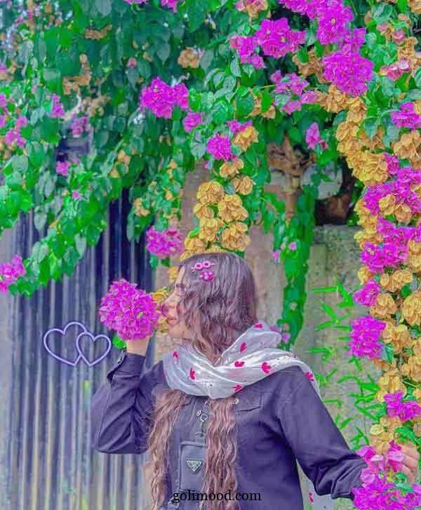 عکس پروفایل شیک