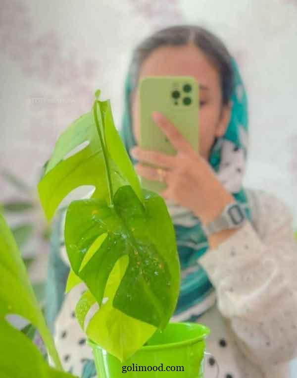 عکس پروفایل شیک