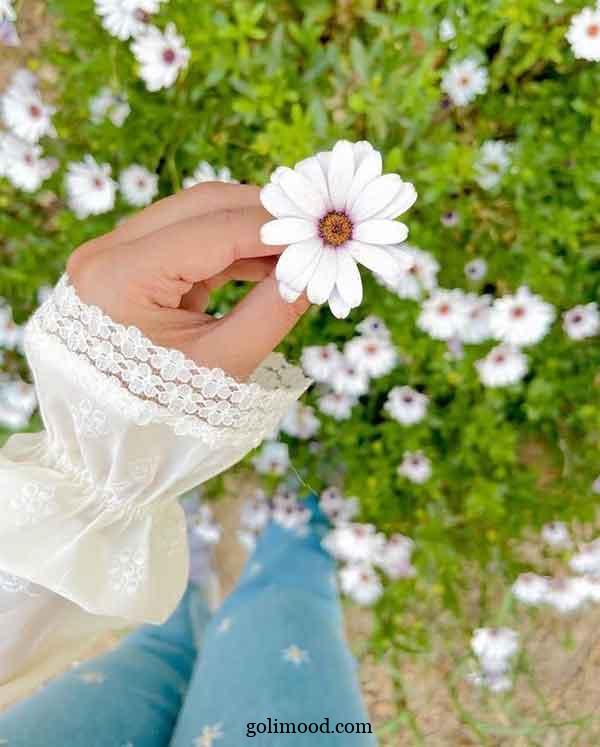 عکس پروفایل شیک