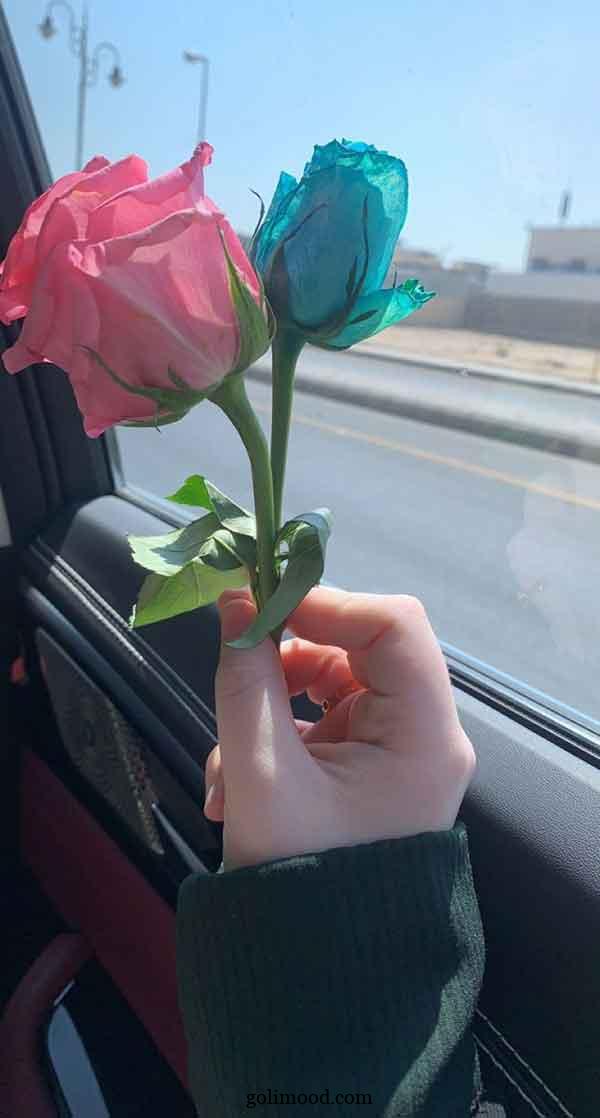 عکس پروفایل شیک