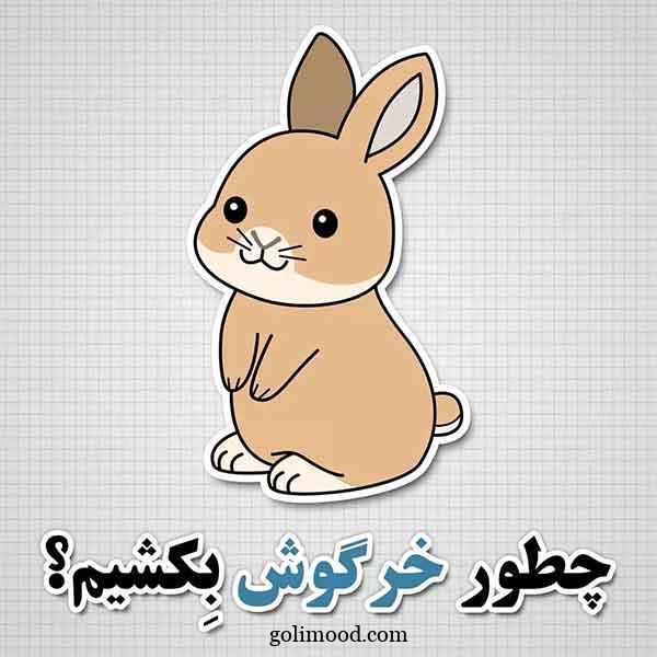 تزیین دفتر با نقاشی خرگوش 