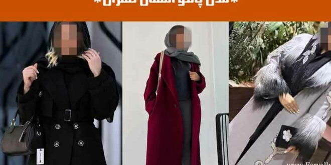 مدل پالتو امسال تهران