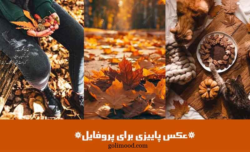 عکس پاییزی برای پروفایل