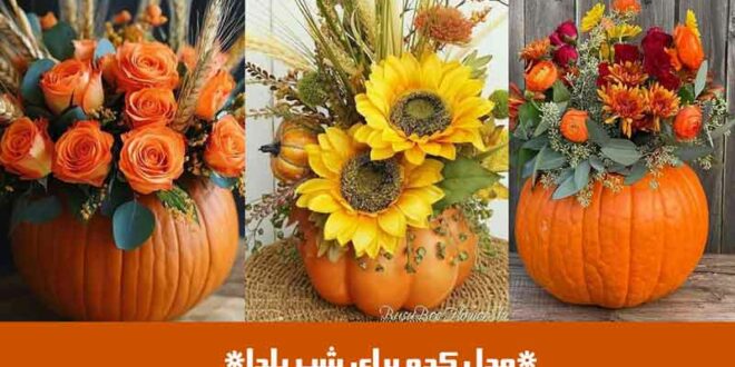 مدل کدو برای شب یلدا