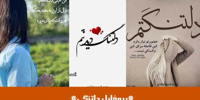 پروفایل دلتنگی