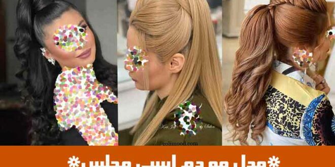 مدل مو دم اسبی مجلسی