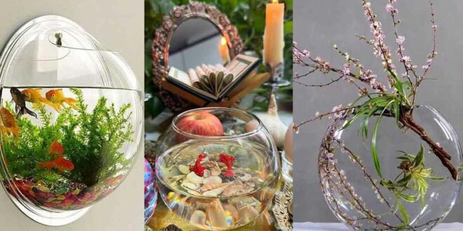 ۵۲ تزیین تنگ ماهی ۲۰۲۵: با شن رنگی، سنگ های تزئینی، صدف ها یا گیاهان مصنوعی