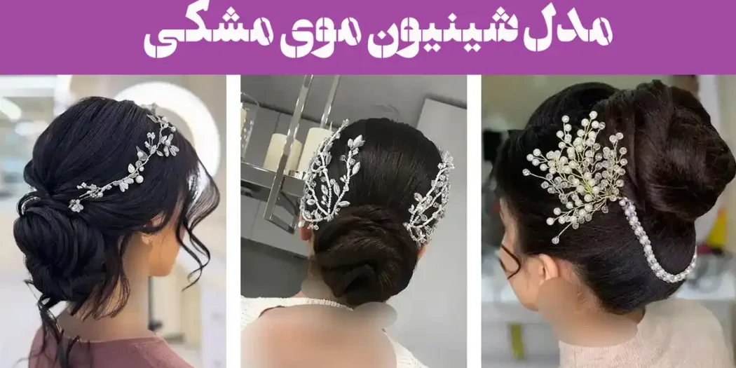 مدل شینیون موی مشکی؛ جادوی شینیون روی مو مشکی شکوهی که چشم‌ها را خیره می‌کند!