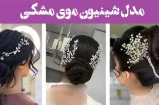 مدل شینیون موی مشکی؛ جادوی شینیون روی مو مشکی شکوهی که چشم‌ها را خیره می‌کند!