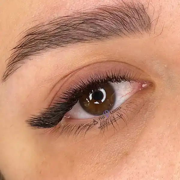 مدل های اکستنشن مژه 2025 | طبیعی, اسپایکی, کلاسیک, عروسکی/برای چشم ریز درشت
