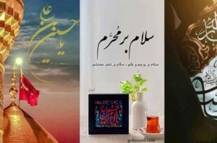 پروفایل محرم 1404: جدید با کیفیت بالا خاص دخترانه (برای واتساپ، اینستا، روبیکا، ایتا)