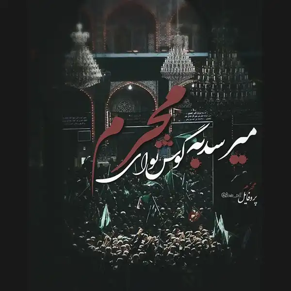 پروفایل محرم 2025