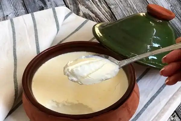 طرز تهیه ماست خانگی بدون هیچ شکست! نتیجه‌اش باورت نمی‌شه!