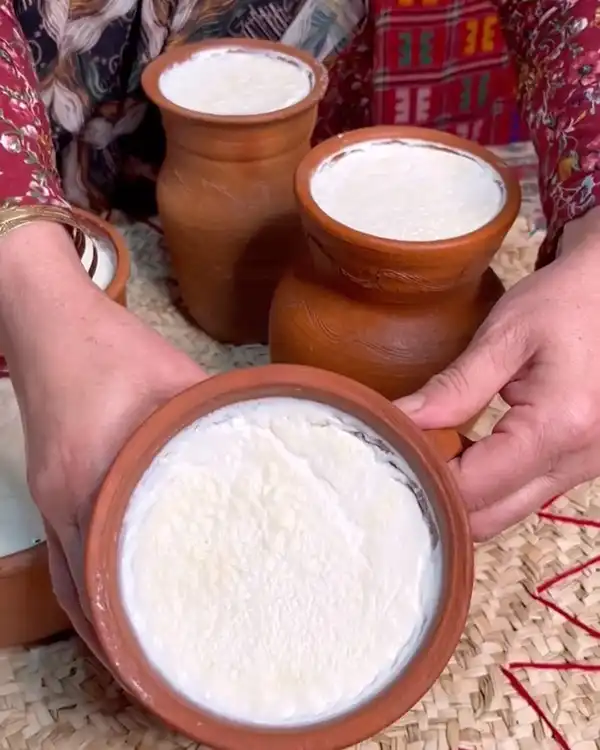طرز تهیه ماست خانگی بدون هیچ شکست! نتیجه‌اش باورت نمی‌شه!