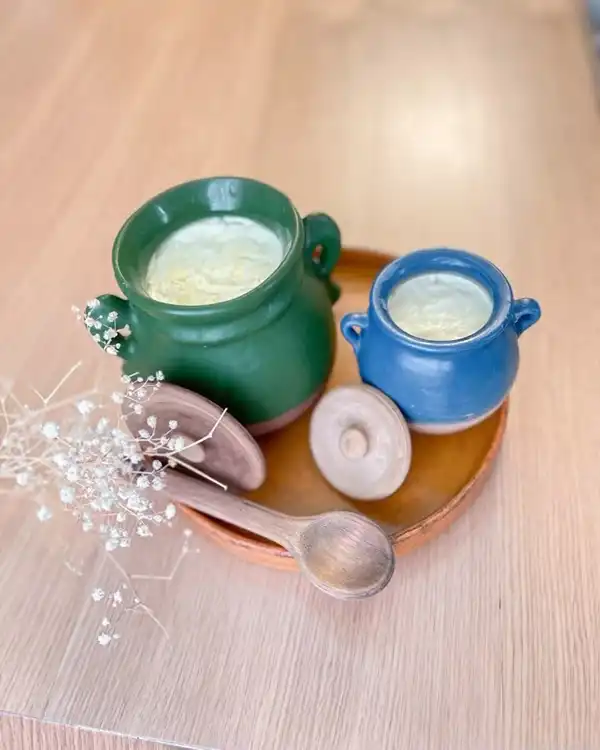 طرز تهیه ماست خانگی بدون هیچ شکست! نتیجه‌اش باورت نمی‌شه!