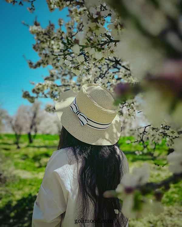 عکس دختر واقعی برای پروفایل؛ 60 ایده بدون چهره خفن زیبا برای روبیکا ایتا تلگرام