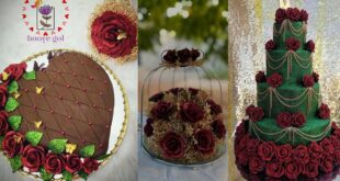 ۳۰ ایده هیجانی و نوآورانه برای تزیین حنا با قالب ژله در جشن‌های سنتی و مدرن!