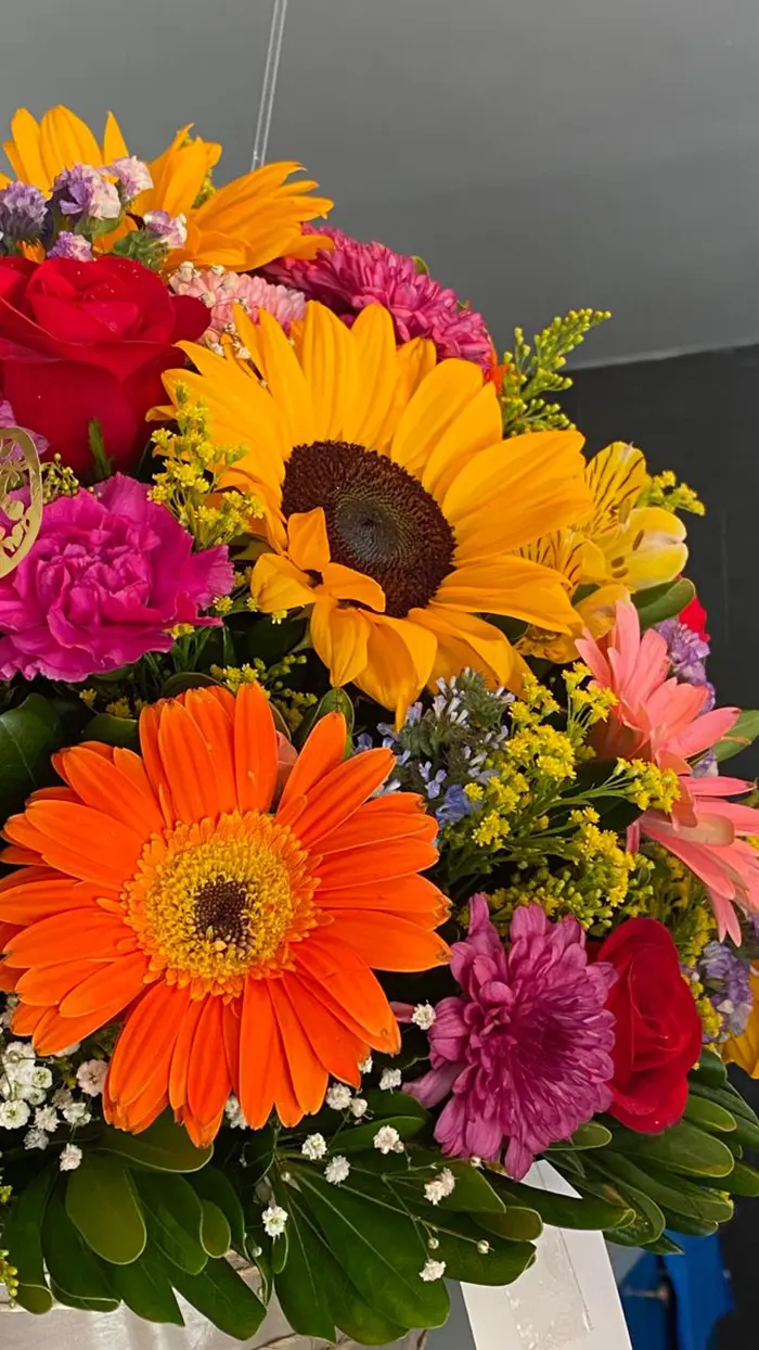 عکس گل برای پروفایل شاد؛ انتخاب بهترین عکس گل برای پروفایلی پرانرژی و دلنشین!