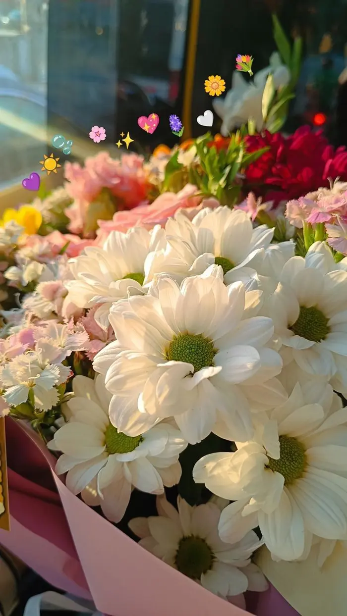 عکس گل برای پروفایل شاد؛ انتخاب بهترین عکس گل برای پروفایلی پرانرژی و دلنشین!